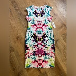 NWT - Bisou Bisou Dress